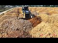 High-Powered! Expert Shantui DH17C3 Bulldozer Pushing Soil & Hyundai Dump Trucks Filling Huge Land