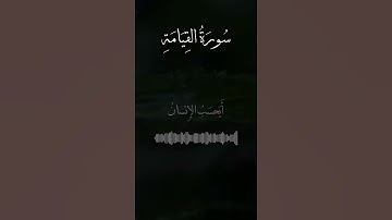 #قرآن #قران_كريم #راحة_نفسية #تلاوات #تلاوة_خاشعة