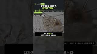 물 한 방울을 확대하면, 무엇이 보일까? #shorts