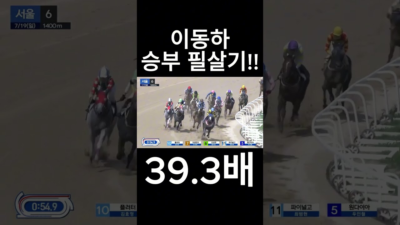이동하 승부필살기  #경마  #경마예상  #경마방송  #경마예상방송  #서울경마  #금요경마  #토요경마  #일요경마 #경마장