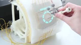 Flexible EL Display Demo