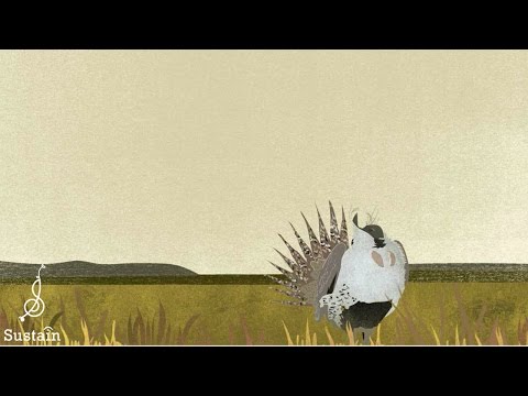 Songscape: Seedskadee National Wildlife Refuge with River Whyless "Hold Me To Ya"
