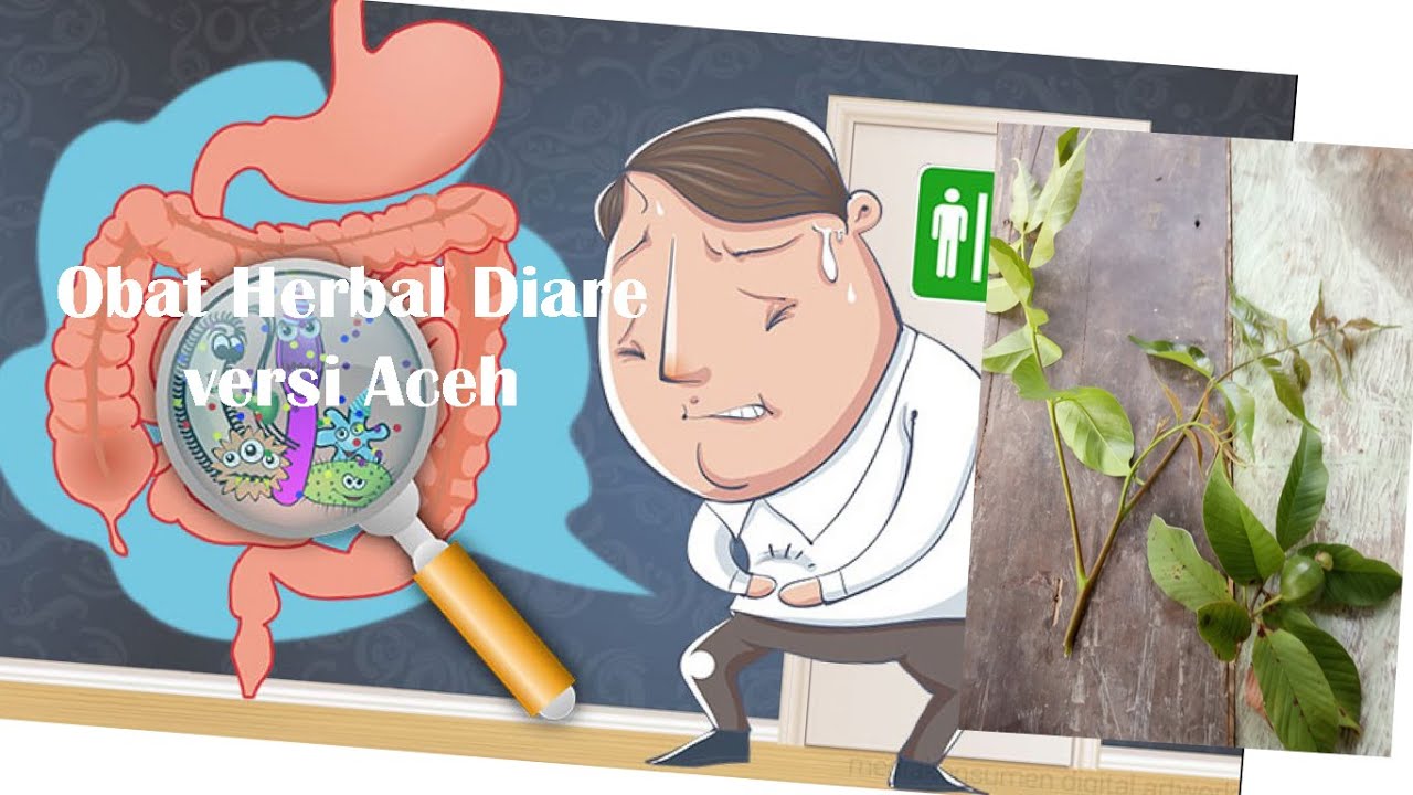 OBAT HERBAL DIARE 