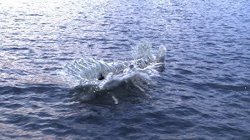 [TRAILER] Houdini Oceans and Flip