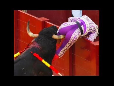 فرفش بلس مواقف مضحكة يتعرض لها الإنسان