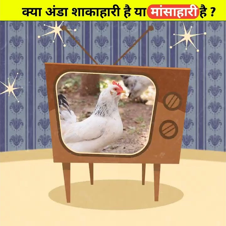 egg-is-veg-or-non-veg-randomfact