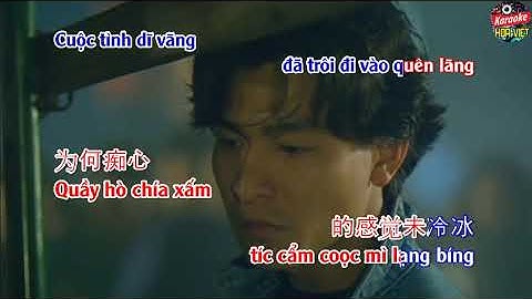 HOA VIỆT KARA | Karaoke Một Thuở Yêu Người Nhạc Hoa Vietsub Song Ngữ