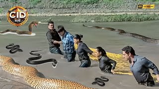 সিআইডি টিম সাপে ভরা সমুদ্রে আটকা পড়েছে | CID | সিআইডি 2025 #cidbangla #dayacid #cidindanger