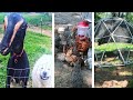 LIFE ON A FARM ~ Do MORNING & EVENING Homestead Chores with ME! Daily Homesteading Routines!!