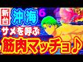 筋肉マッチョがサメを呼ぶ『Pスーパー海物語IN沖縄6』