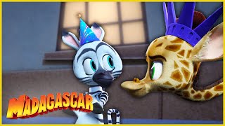 La gran fiesta | DreamWorks Madagascar en Español Latino