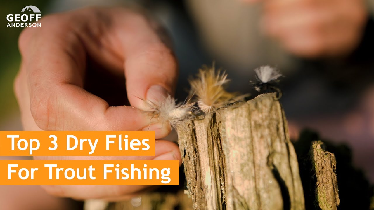 Top 3 Dry Flies for Brown Trout YouTube