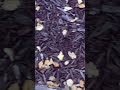 #DreamTrackAI Running through leaves