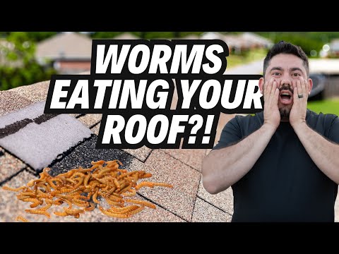 Worms Roof Scam, Gaf Solar Shingle Plant Open, Thieves Steal $290k In Materials From Lowes & More