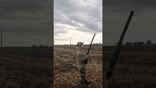 Texas Dove Hunting at it’s BeST!🔥 #hunting #hunt #dovehunting #hunter #texas #dove #uplandhunting