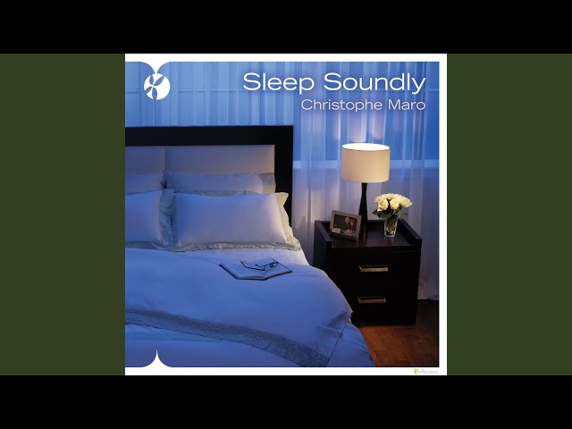 Christophe Maro - Perfectly Still