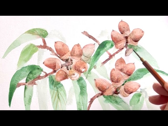 透明水彩でどんぐりを描く/watercolor/制作過程 - YouTube
