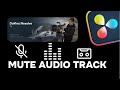 How to Mute Audio Track in Davinci Resolve in Seconds!