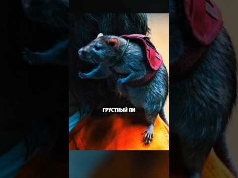 Жаль бедолагу / Отряд самоубийц: Миссия навылет #films #shorts