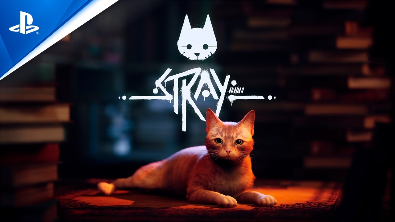 Stray', el juego donde eres un gato ya está disponible en México: de qué  trata, requisitos y cómo descargarlo gratis sin pagar PS Plus