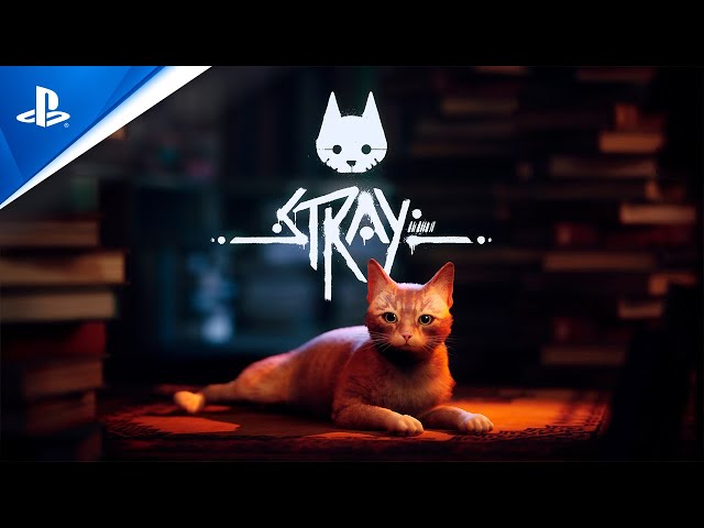 Stray - Tráiler 4K de la FECHA DE LANZAMIENTO en PS5