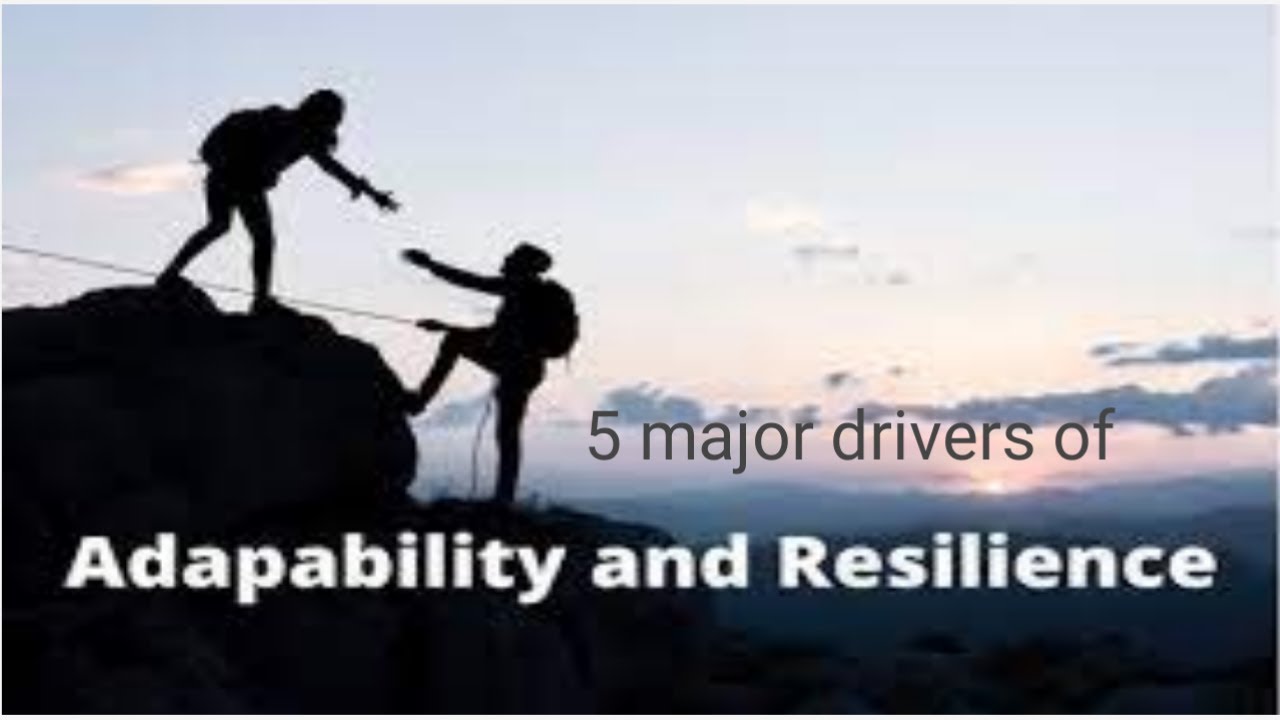 lesson # 1: what are adaptability and resilience - YouTube