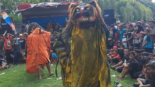 Barongan Kendal Full Ndadi Singo Mudo 2022