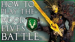 How to play the Wood Elf Roster & Battle Strategy | Total War: Warhammer 2