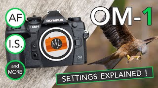 OM-1 Settings Explained (AF, IBIS, Buttons) - For Birds in Flight, Motorsports and More!