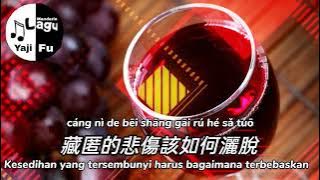 Tai Duo Jiu Yao He Tai Duo Hua Yao Shuo - Xiao Tian [ 太多酒要喝 太多話要說 - 笑天 ] Lirik & Terjemahan Sub Indo