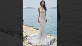 Plus Size Mother Of The Bride Dresses Chicago 2019 | dantelabridalcouture.com | Call us 8479838616 | Plus Size Mother Of The Bride Dresses Chicago 2019 | dantelabridalcouture.com | Call us 8479838616 |