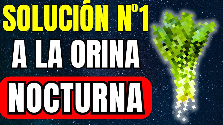 ¡NO MÁS VISITAS AL BAÑO! Haz “ESTO” y No te LEVANTES por la Noche