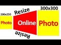 How to resize photo online l ion international l