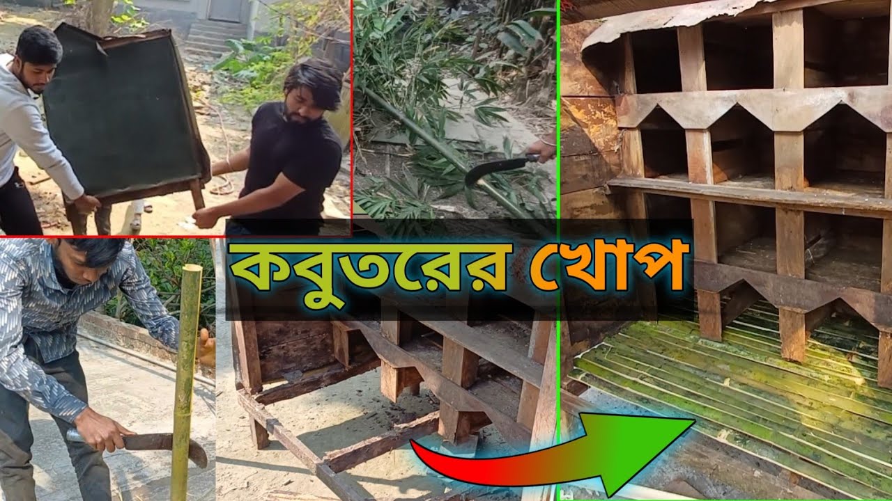 ভাইয়ের ১৬ জোরার কবুতরের খোপ | দেশি কবুতরের খোপ কিনল | কবুতরের খোপ মেরামত