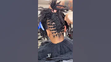 French vs Fishtail Braid #dreads #locs #birminghamalabama #locstyles #fishtailbraid #frenchbraid