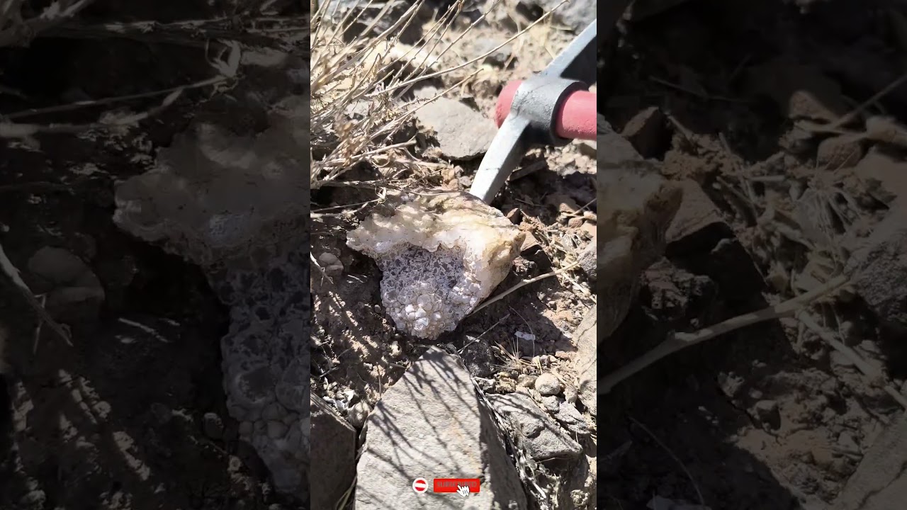 Shiny Quartz Crystal Discovery in the Middle of Nowhere! ✨