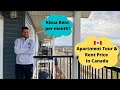 Canadian Houses| Inside My $1370 Per Month Apartment Tour| Life In Canada| Houses in Edmonton Canada