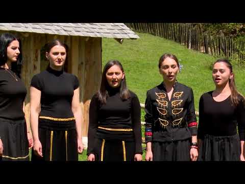 \"ლაგუშედა\" • ანს. #ლაგუშედა სოფ.ჰეშკილი(მესტია)