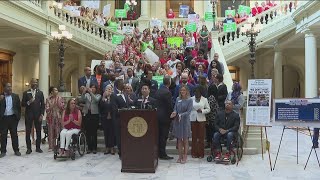 Georgia Democrats call for change, special session to toughen gun laws