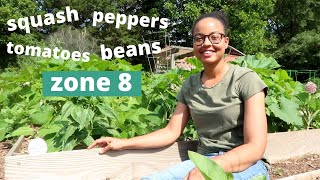 Summer Veggies Community Garden Tour | Zone 8