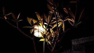 SEWATES KONCO//LAVORA FT. DESTYA EKA//LIRIK LAGU//AKU TRESNO KOWE NING ATI RA ONO LIYANE