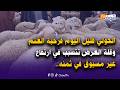 من قلعة السراغنة الحولي قليل اليوم فرحبة الغنم وقلة العرض تتسبب في ارتفاع غير مسبوق في ثمن الحولي