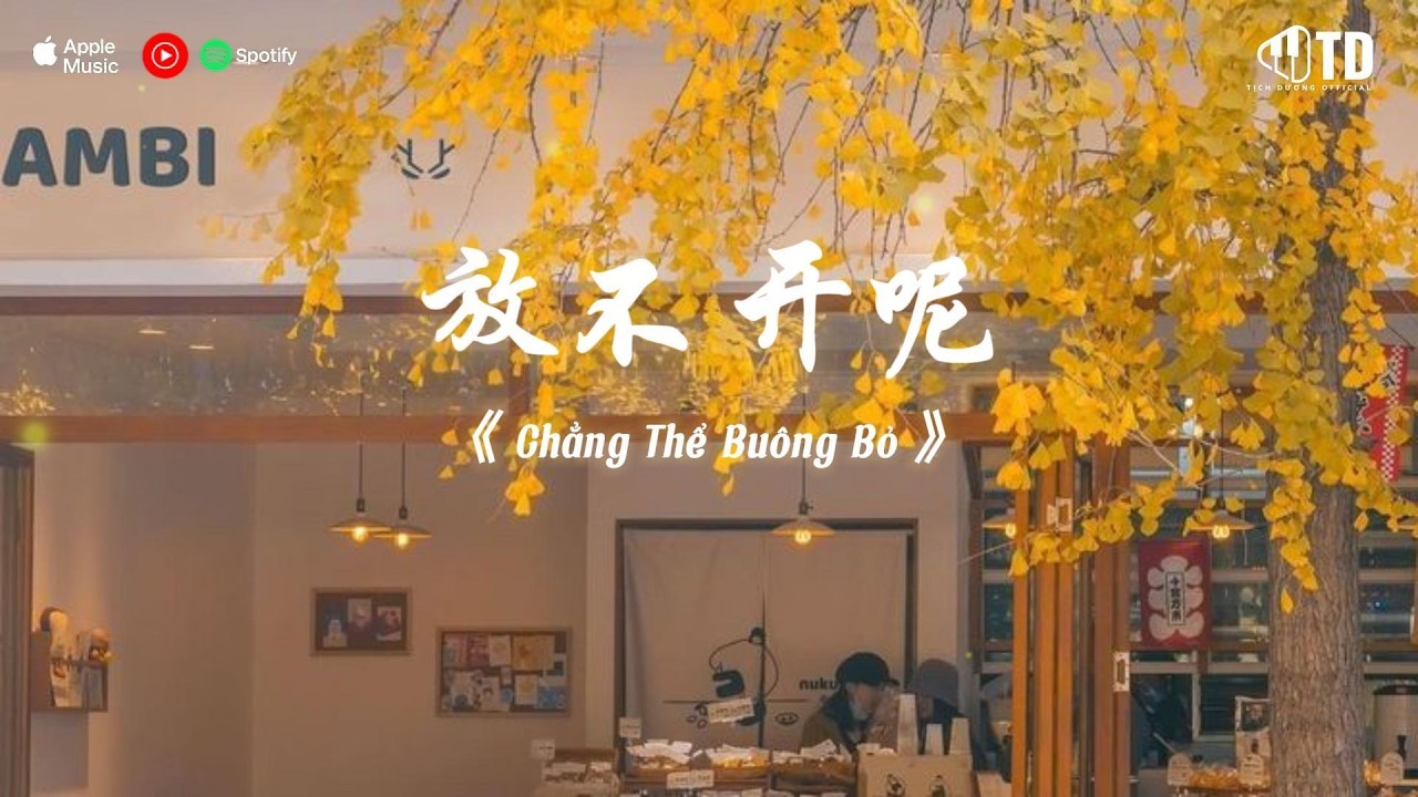 🎵 [Playlist] Nhạc Trung Hot TikTok | Những Bản Nhạc Mới Nhất Douyin Trung Quốc 2026