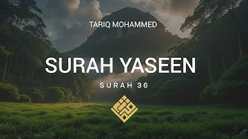 Sure Yaseen (سورة يس) | Reine und ruhige Koranrezitation | Sure 36 von Tariq Mohammed