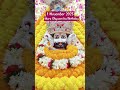 मेरे श्याम का जन्मदीन है॥ 1 November2025॥ #trending #श्यामबाबाकीनगरी #bhakti #video