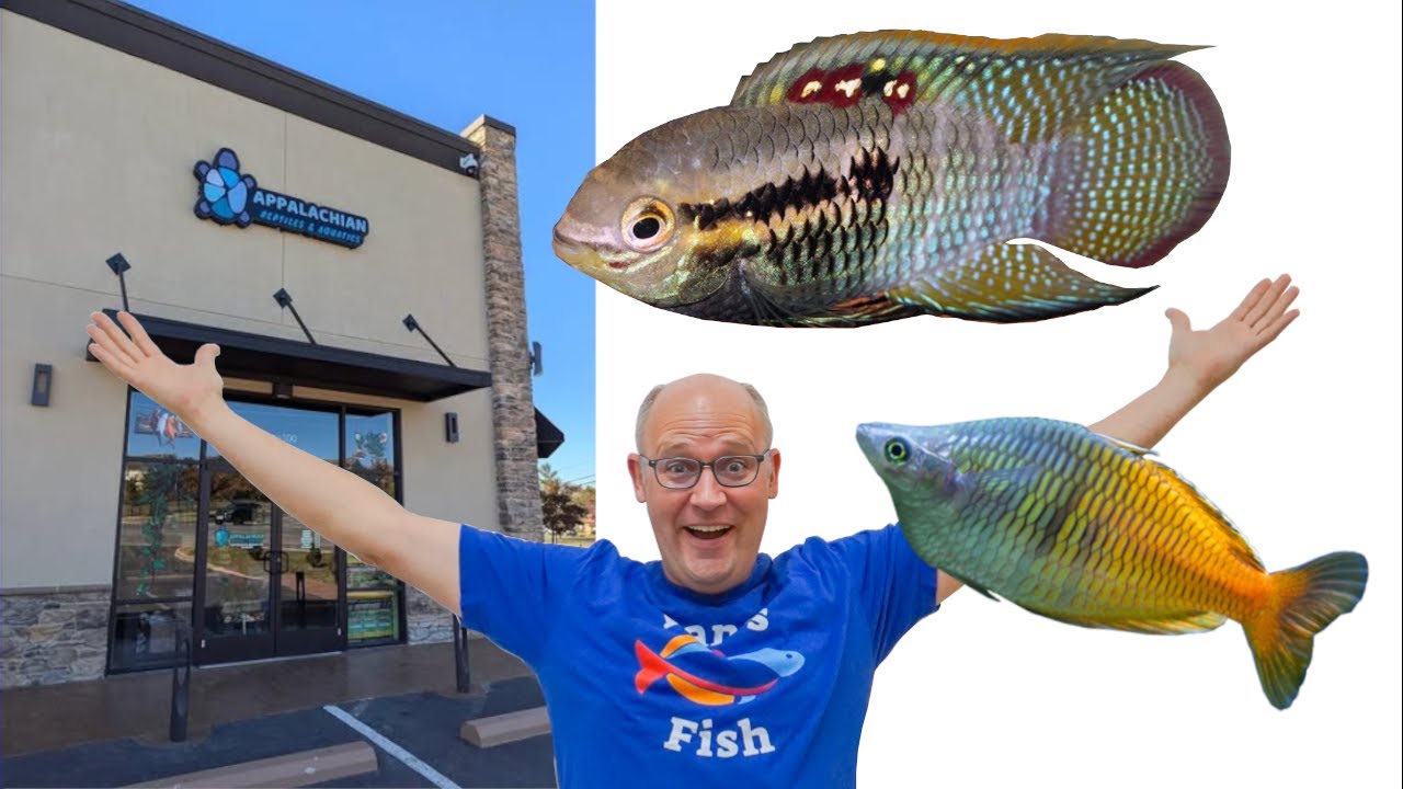 В этом зоомагазине всё делают правильно.