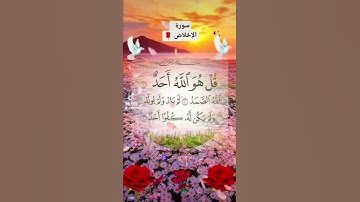 سورة الإخلاص ⚘💞إسلام الصبحي حالات واتس واتس دينية قصيرة Quran status 🌻