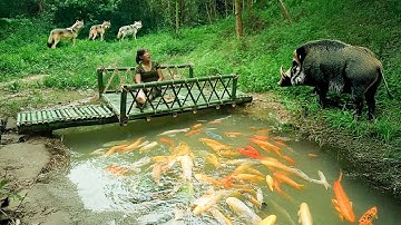 REWIND TIMELAPSE: Building a Bamboo Bridge in the Forest | Perfecting Life Alone