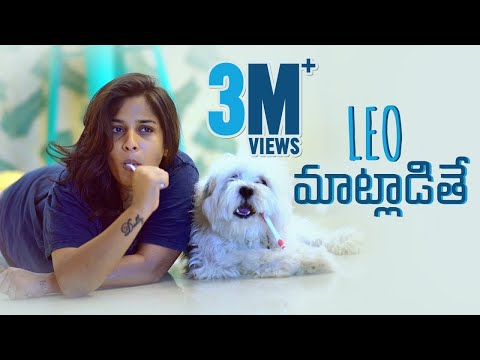 Leo Maatladithe - If Pets Could Talk || Mahathalli || Tamada Media