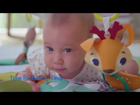 Into the Forest? Gymini Deluxe by Tiny Love